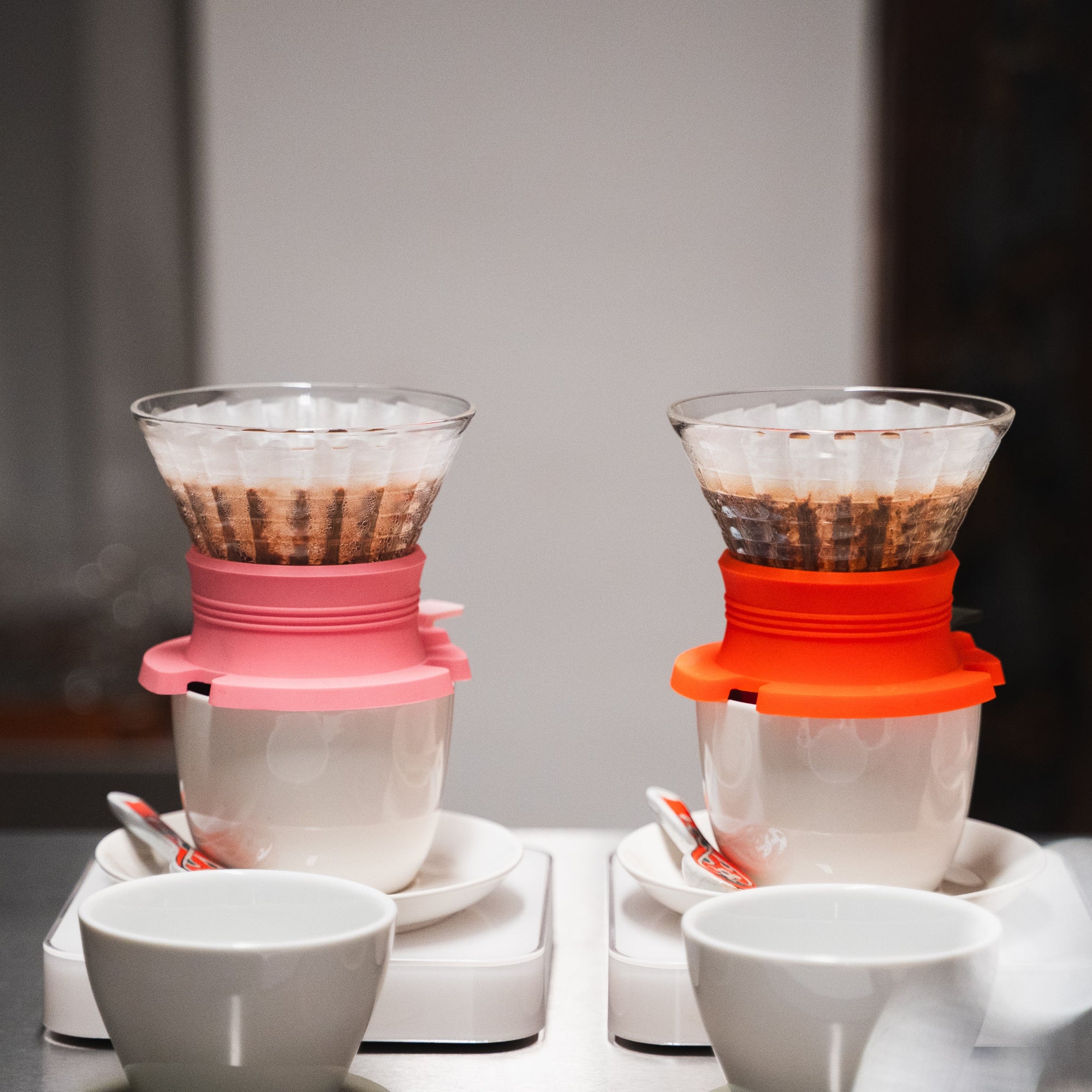 Hybrid Brewer + Paper Filter + 250g Filter Beans